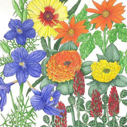 Butterfly Garden Wildflower Mix (1/4 lb)