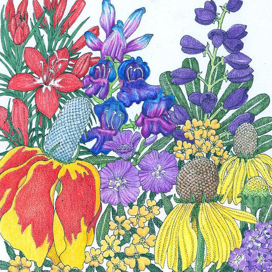 North American Perennial Wildflower Mix (1/4 lb)
